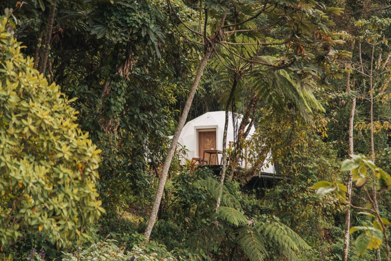 Terramia Estate Villa Минка Екстериор снимка